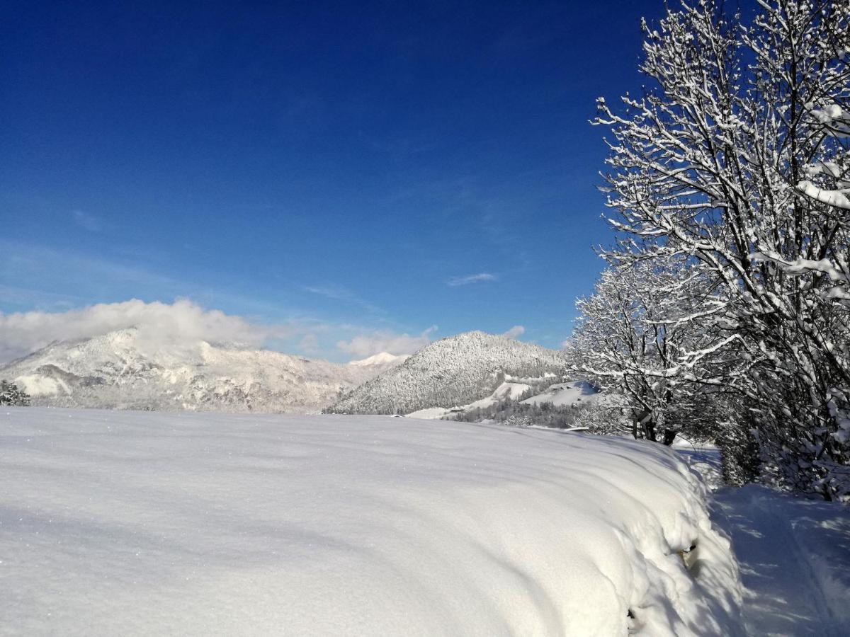 Tramberger Apartments Reith im Alpbachtal Buitenkant foto